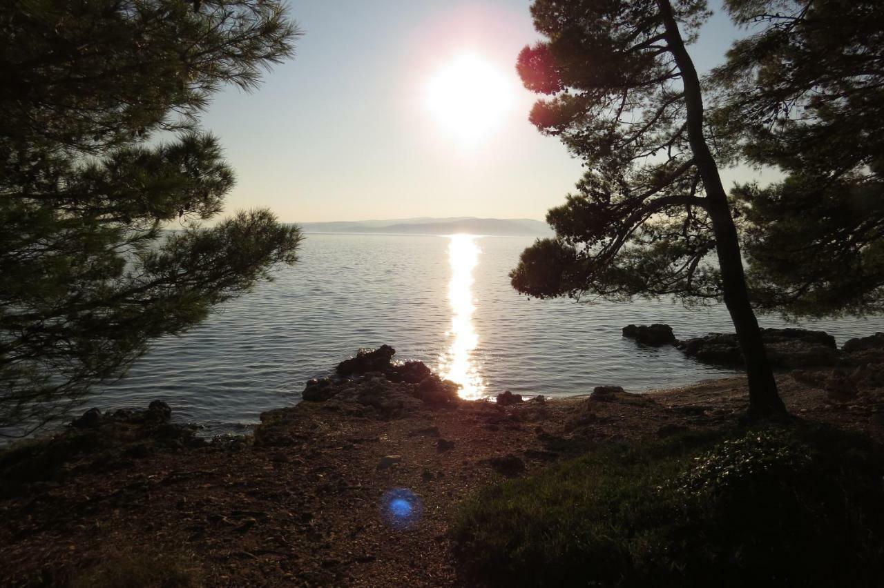 Apartmani Carevic Baška Voda Esterno foto