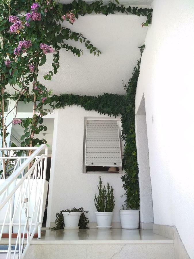 Apartmani Carevic Baška Voda Esterno foto